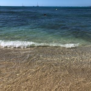 Meet your Posher, Lane